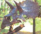 Site archéologique exceptionnel : la Plaine aux Dinosaures : http://www.ville-meze.fr/dino.htm