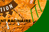 Agronomie : la Méthode Cousinié de fabrication d'engrais, de fertilisants et d'amendements