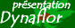 L'entreprise Dynaflor